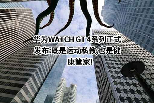 华为技术有限公司