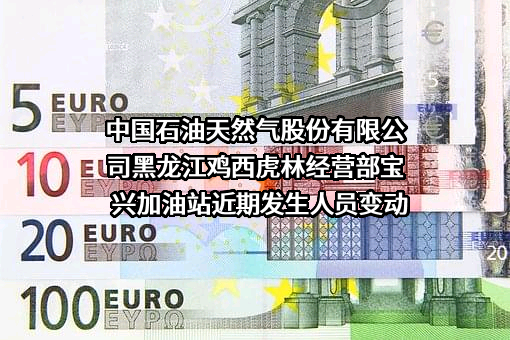 中国石油天然气股份有限公司黑龙江鸡西虎林经营部宝兴加油站
