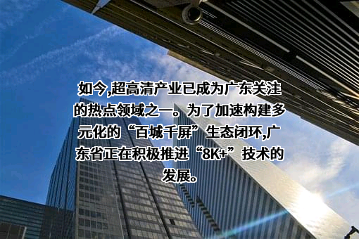 四开花园网络科技（广州）有限公司