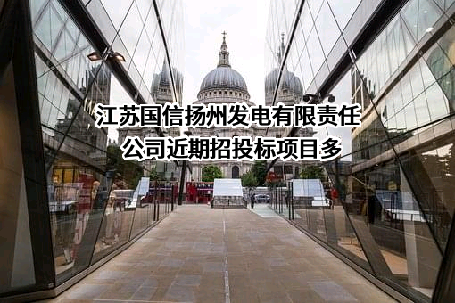 江苏国信扬州发电有限责任公司