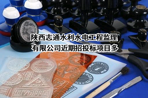 陕西志通水利水电工程监理有限公司