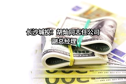 长沙市望城区城市建设投资集团有限公司