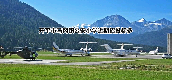 开平市马冈镇公安小学