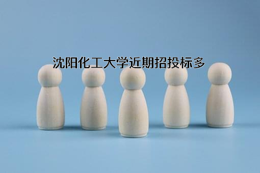 沈阳化工大学