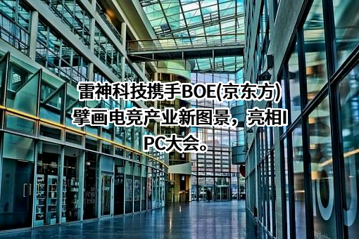 青岛雷神科技股份有限公司