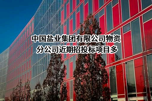 中国盐业集团有限公司物资分公司近期招投标项目多