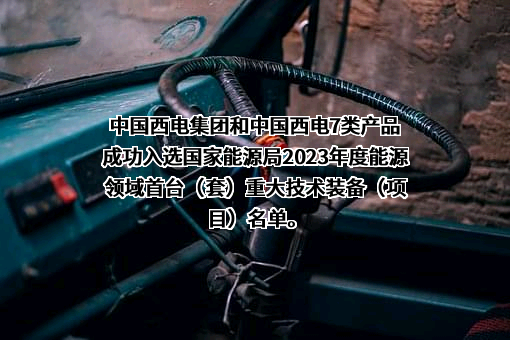 中国西电电气股份有限公司