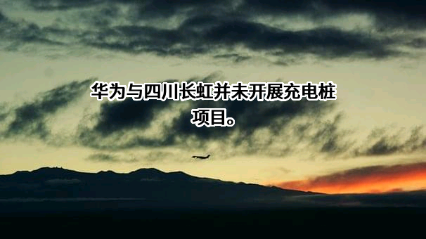 四川长虹电器股份有限公司