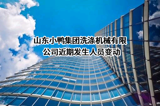 山东小鸭集团洗涤机械有限公司