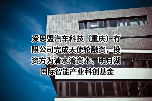 爱思盟汽车科技（重庆）有限公司