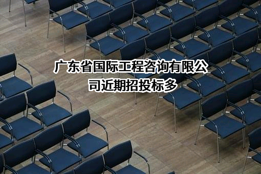 广东省国际工程咨询有限公司