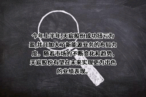 上海市天宸股份有限公司