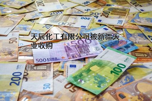 天辰化工有限公司