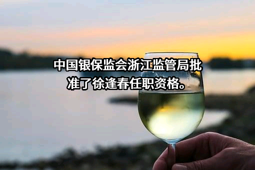 海安发展保险经纪有限责任公司