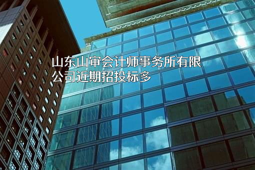 山东山审会计师事务所有限公司
