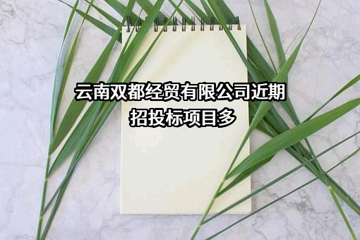 云南双都经贸有限公司