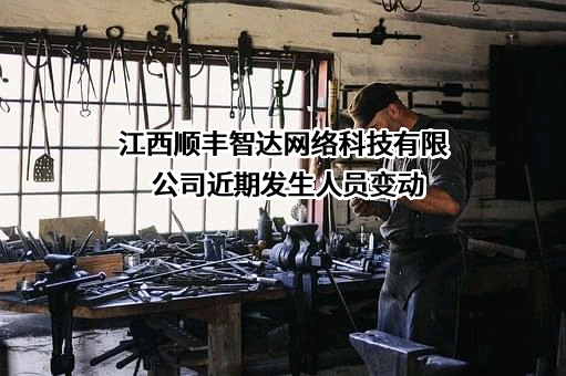 江西顺丰智达网络科技有限公司