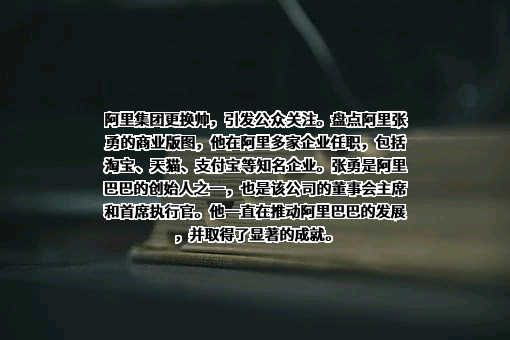 阿里巴巴集团控股有限公司