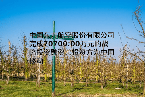中国东方航空股份有限公司