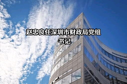 深圳市财政局