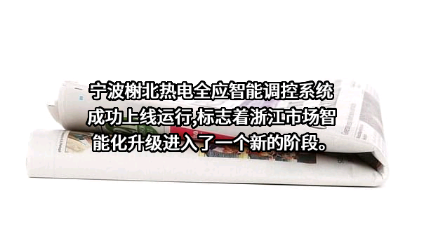 宁波榭北热电有限公司