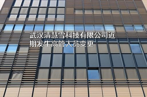 武汉清慧雪科技有限公司