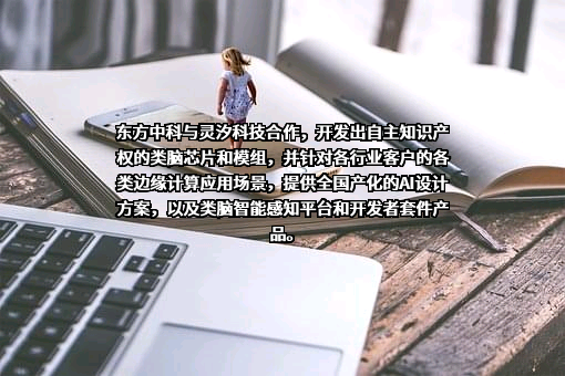 北京灵汐科技有限公司