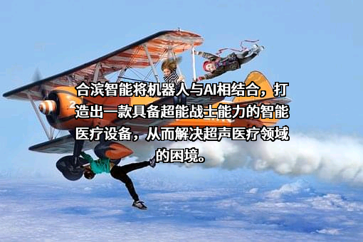 合肥合滨智能机器人有限公司