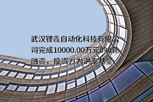 武汉锂鑫自动化科技有限公司