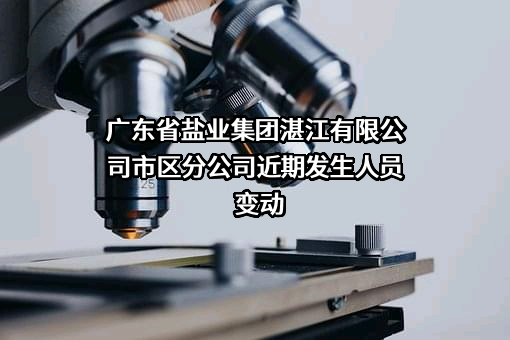 广东省盐业集团湛江有限公司市区分公司