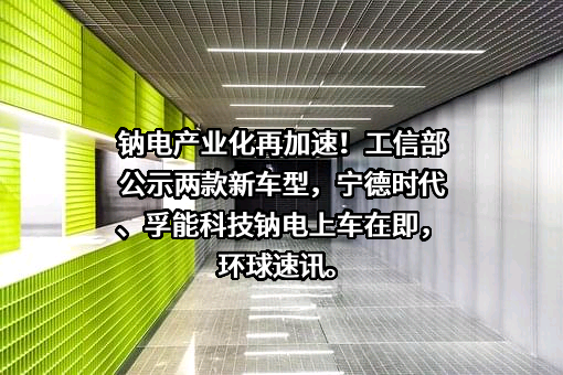 宁德时代新能源科技股份有限公司