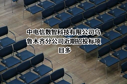 中电信数智科技有限公司乌鲁木齐分公司近期招投标项目多