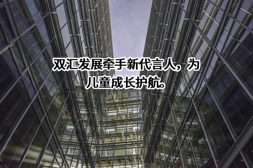河南双汇投资发展股份有限公司