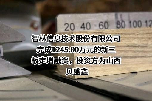 智林信息技术股份有限公司