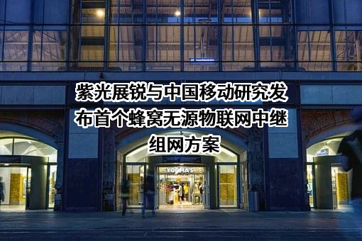 紫光展锐（上海）科技有限公司