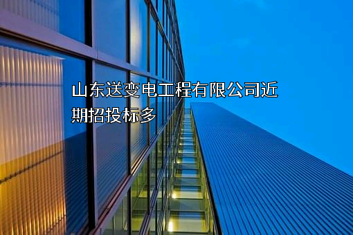 山东送变电工程有限公司