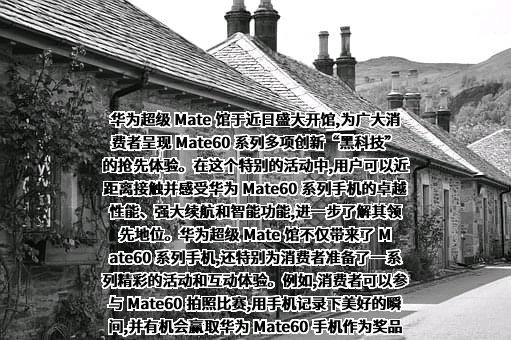 华为技术有限公司