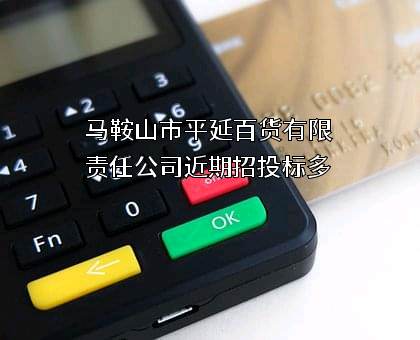 马鞍山市平延百货有限责任公司