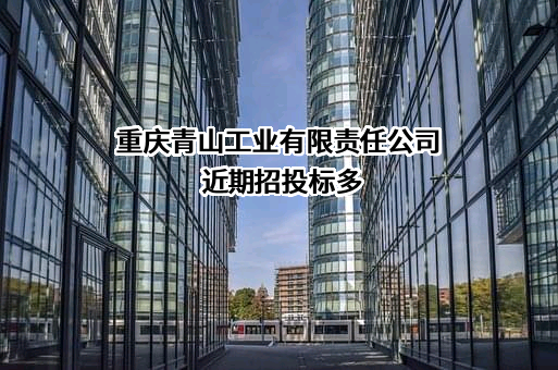 重庆青山工业有限责任公司