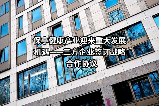 海南保发控股集团有限公司