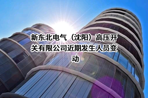 新东北电气（沈阳）高压开关有限公司