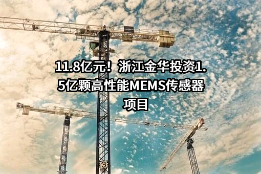 厦门立芯元奥微电子科技有限公司