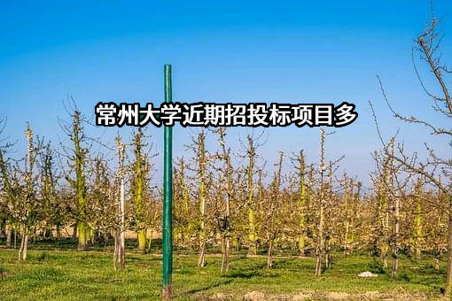 常州大学近期招投标项目多