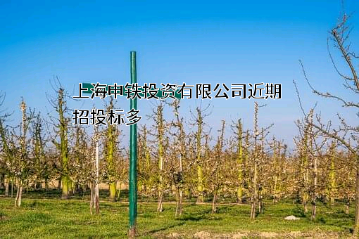 上海申铁投资有限公司