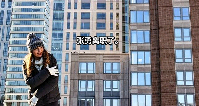 阿里巴巴集团控股有限公司