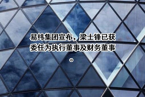 易纬集团控股有限公司
