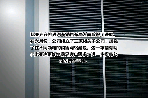 比亚迪股份有限公司
