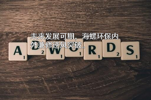 安徽海螺水泥股份有限公司