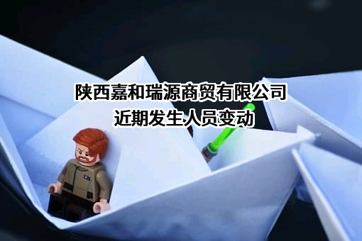 陕西嘉和瑞源商贸有限公司