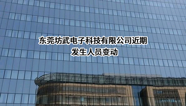 东莞坊武电子科技有限公司